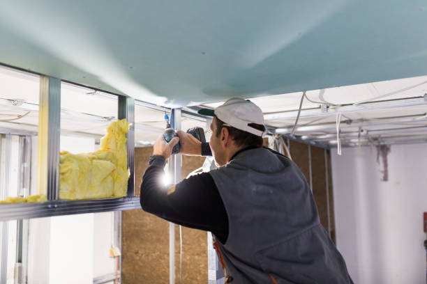 Best DIY Insulation Kits and Guidance in Theresa, WI