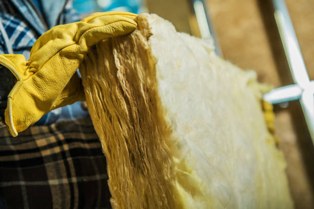 Best Eco-Friendly Insulation in Theresa, WI