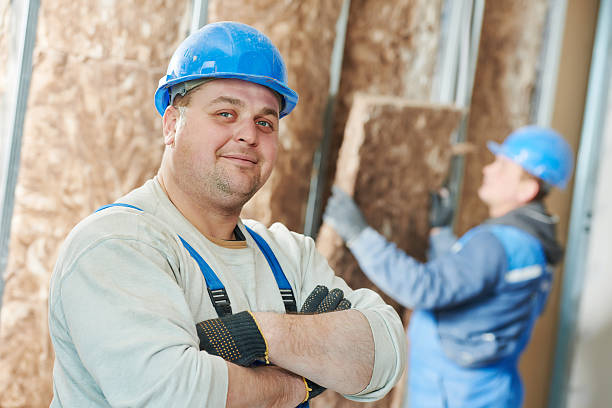 Best Commercial Insulation in Theresa, WI