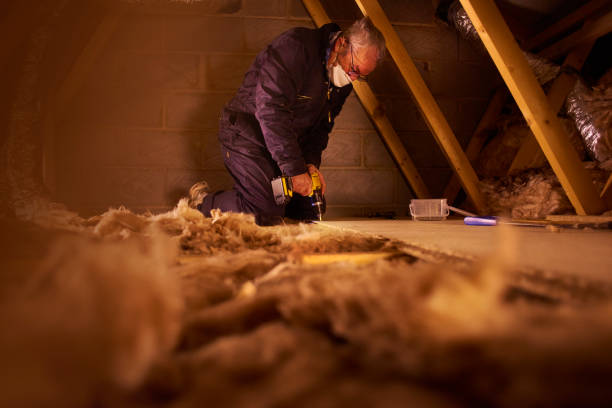 Best Insulation Maintenance and Repair in Theresa, WI