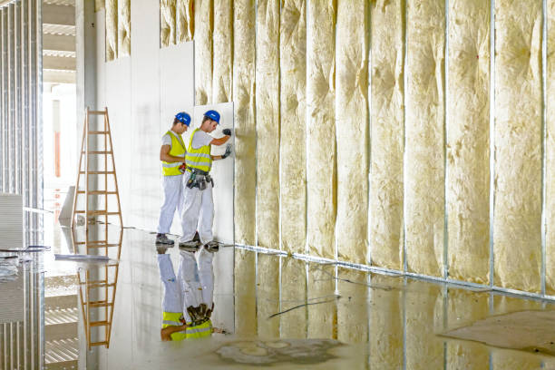 Best Energy Efficiency Insulation in Theresa, WI
